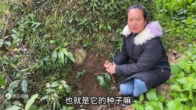 有白头发不用愁,有白头发的不要发愁