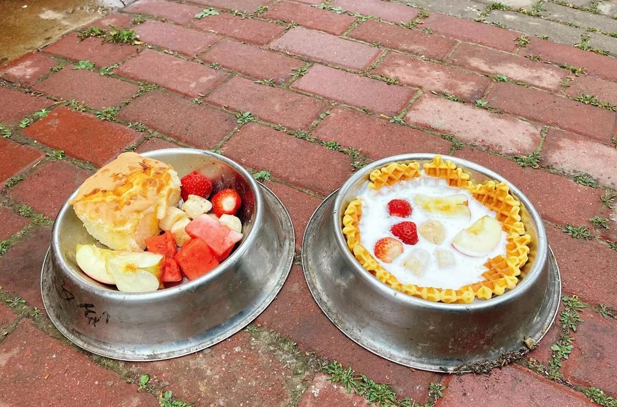 中国刑警学院警犬技术分数线,刑警学院警犬技术专业优秀毕业生