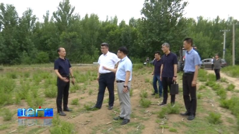 问政追踪督察整改,问政追踪石材整治