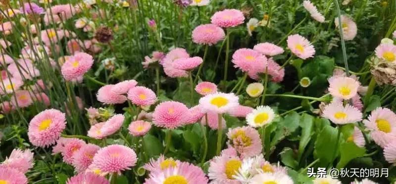 一个女人越低调越有福气,一个有福气的女人要具备十种心态