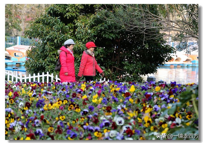 上海长风海洋公园和自然博物馆,上海长风公园占地面积