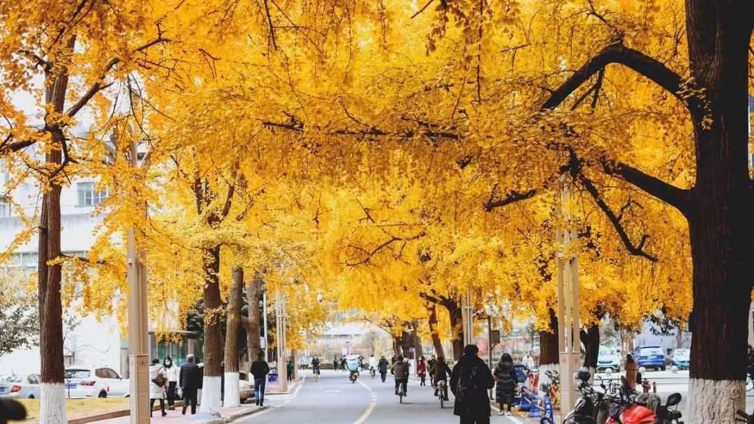 后疫情时代消费者需求,后疫情时代人们的消费行为