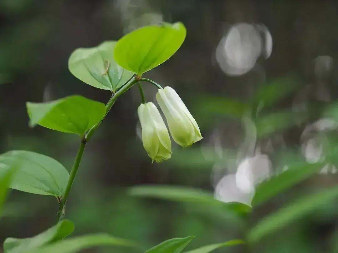 时光荏苒岁月如梭人生如歌,时光荏苒岁月如梭不负韶华