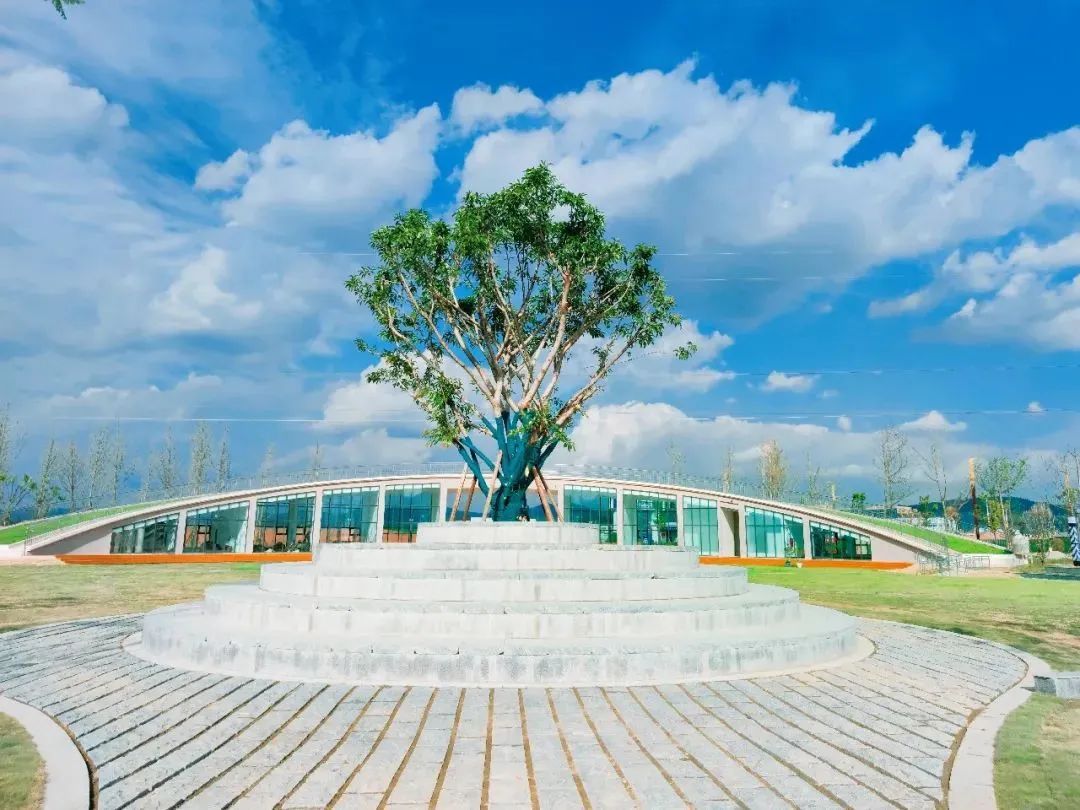 春暖花开运动好时节,春暖花开该开始运动了