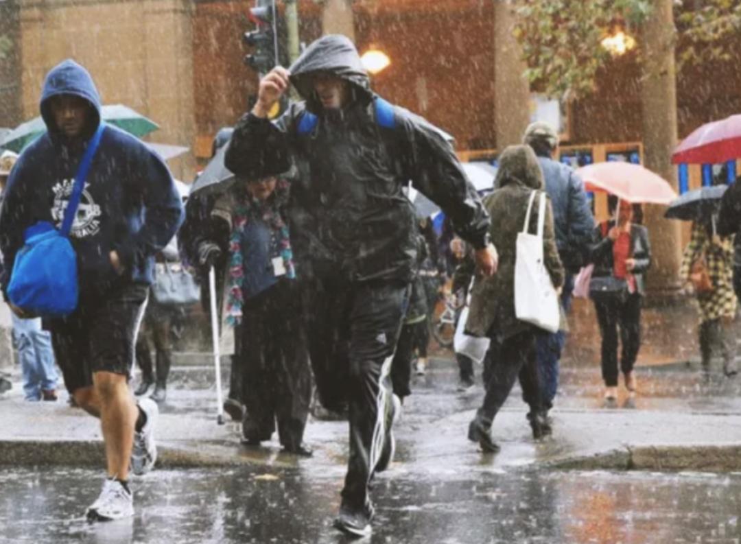 法国人下雨不用雨伞吗,为什么外国人下雨不打伞