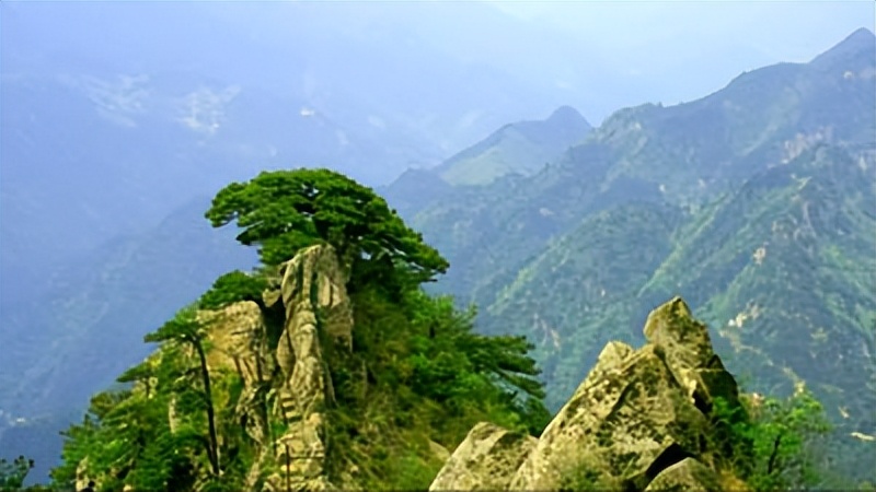 渤海湾盆地断裂带分布图,渤海湾盆地断层