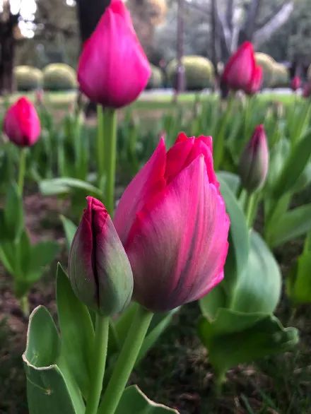 清明北京周边一日游景点推荐,清明节去哪里旅游比较好玩呢北京