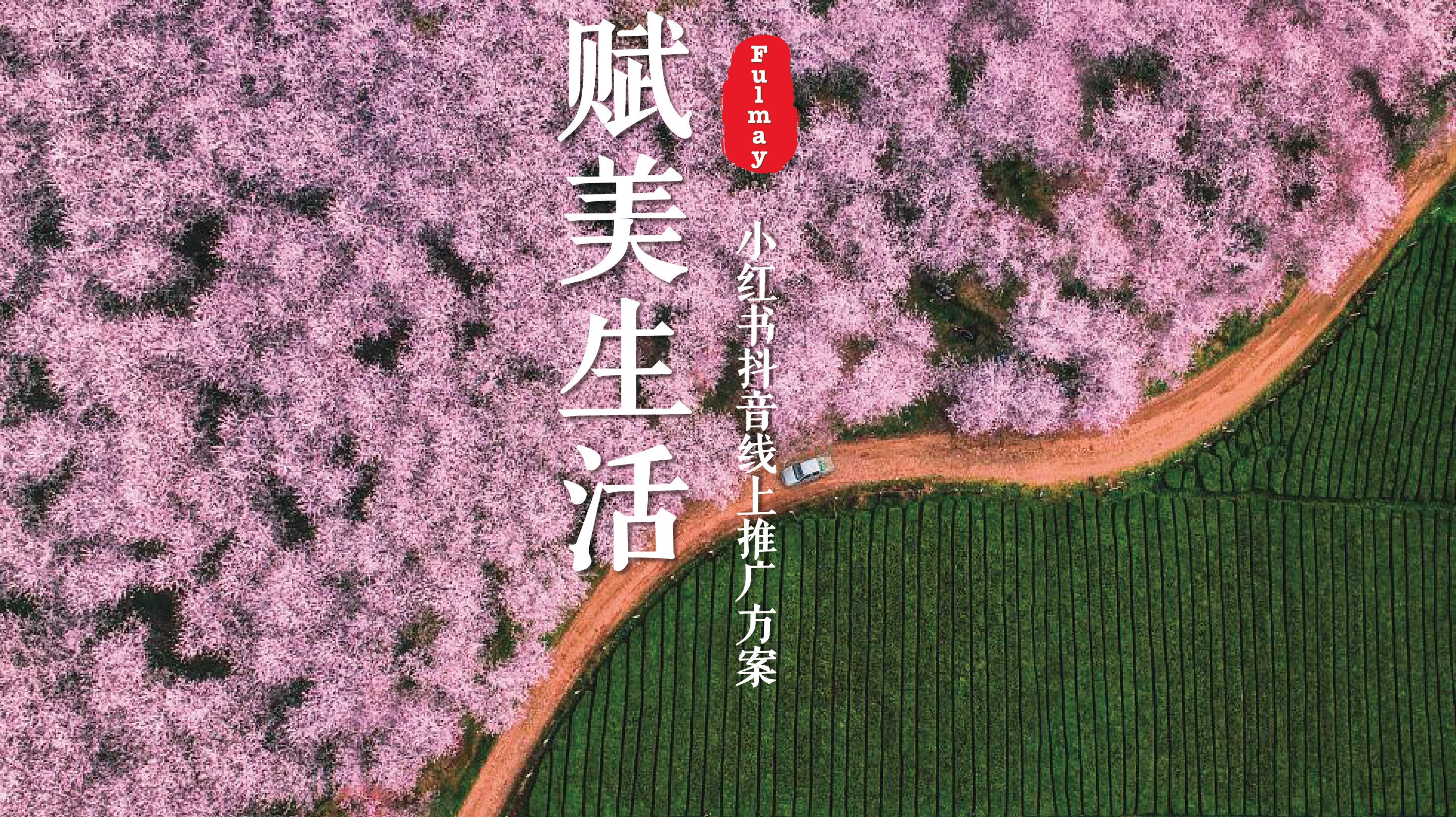 小红书市场营销策划书,小红书2023引流