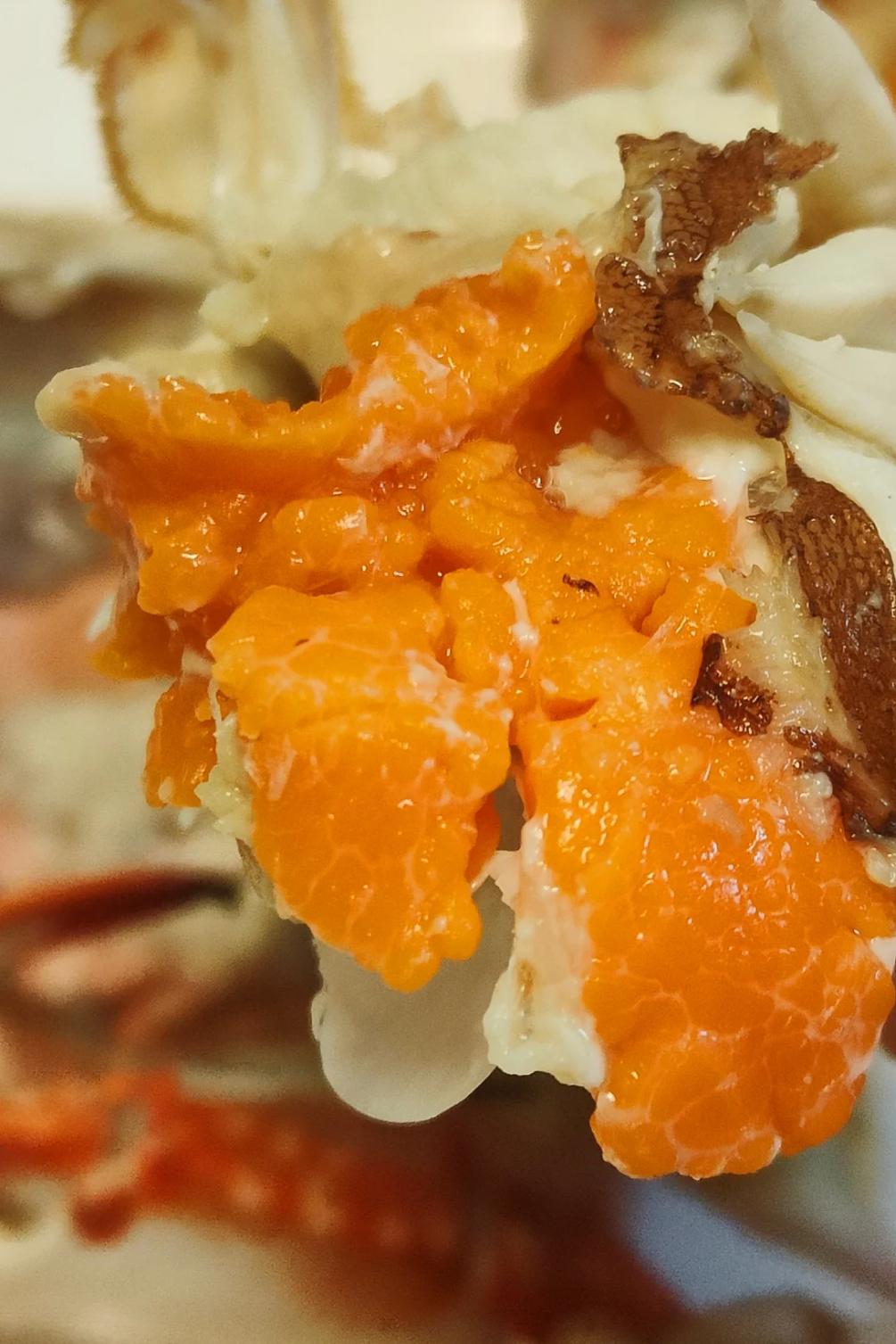 最“土味”的海鲜,这座山东小城吃得有多猛?