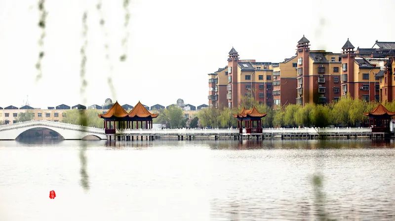 周口淮阳区荷花节在哪里举办了,周口淮阳荷花节开幕式节目单