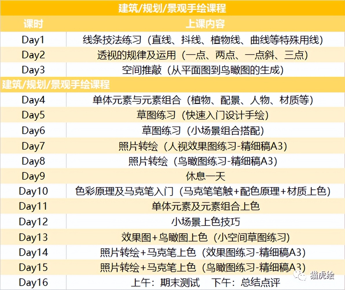 2022猫虎绘暑假手绘班招生简章「线上+线下」
