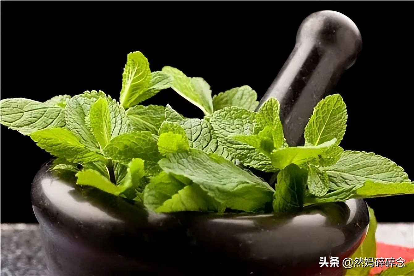 薄荷清凉膏制作方法,自制艾草薄荷驱蚊膏