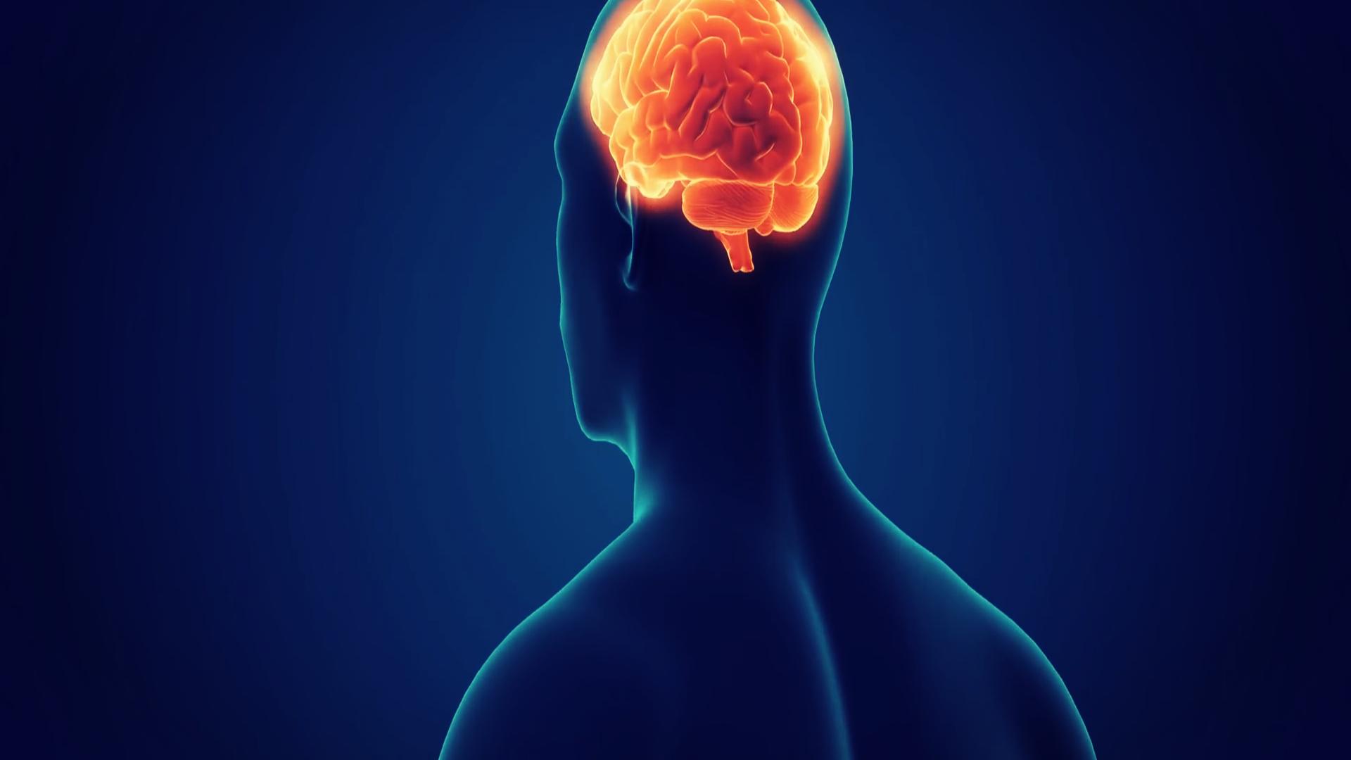 做梦真的预示着什么吗,梦见吃饭周公解梦梦境有什么暗示