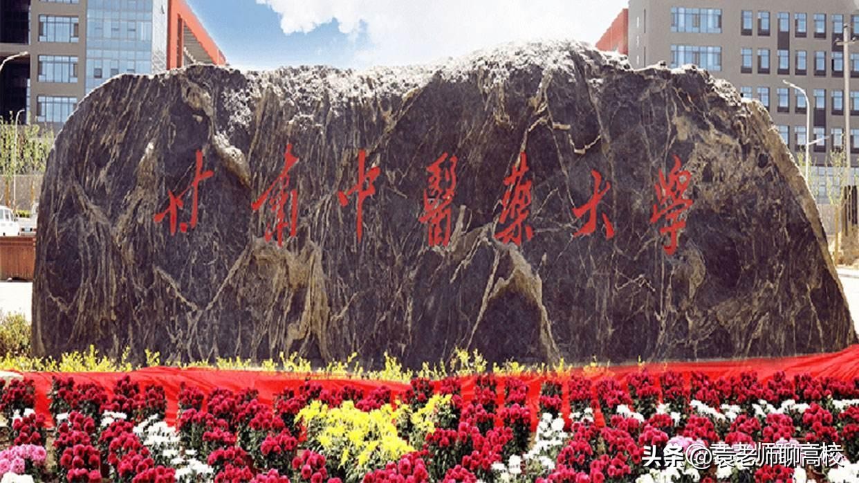 西北地区有哪些二本学校,西北二本的医学院