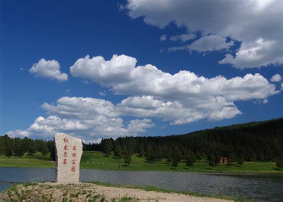 散文|艾平：樟子松随想