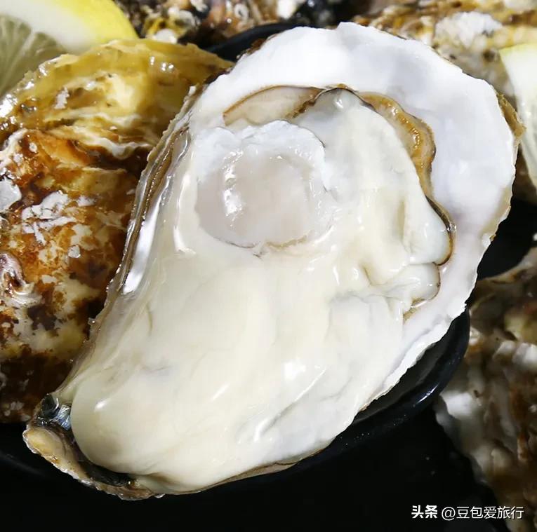 青岛的生蚝最好的多少钱一斤,青岛海鲜生蚝哪家好