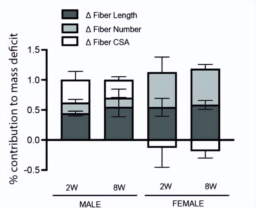 核因子,NFκB,在临床治疗上,是否与腱切断术的肌肉萎缩无关?