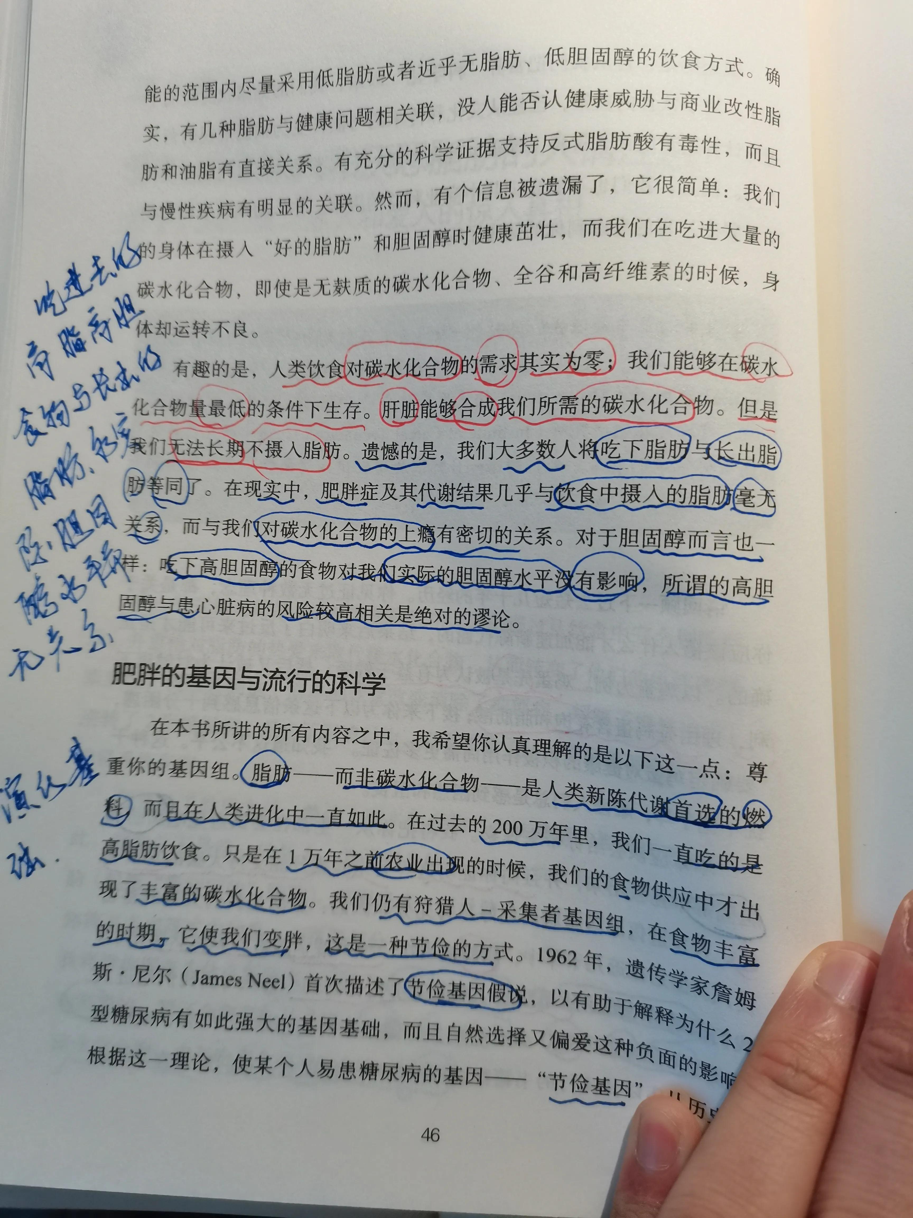 谷物大脑具备权威性吗,谷物大脑有人看过吗