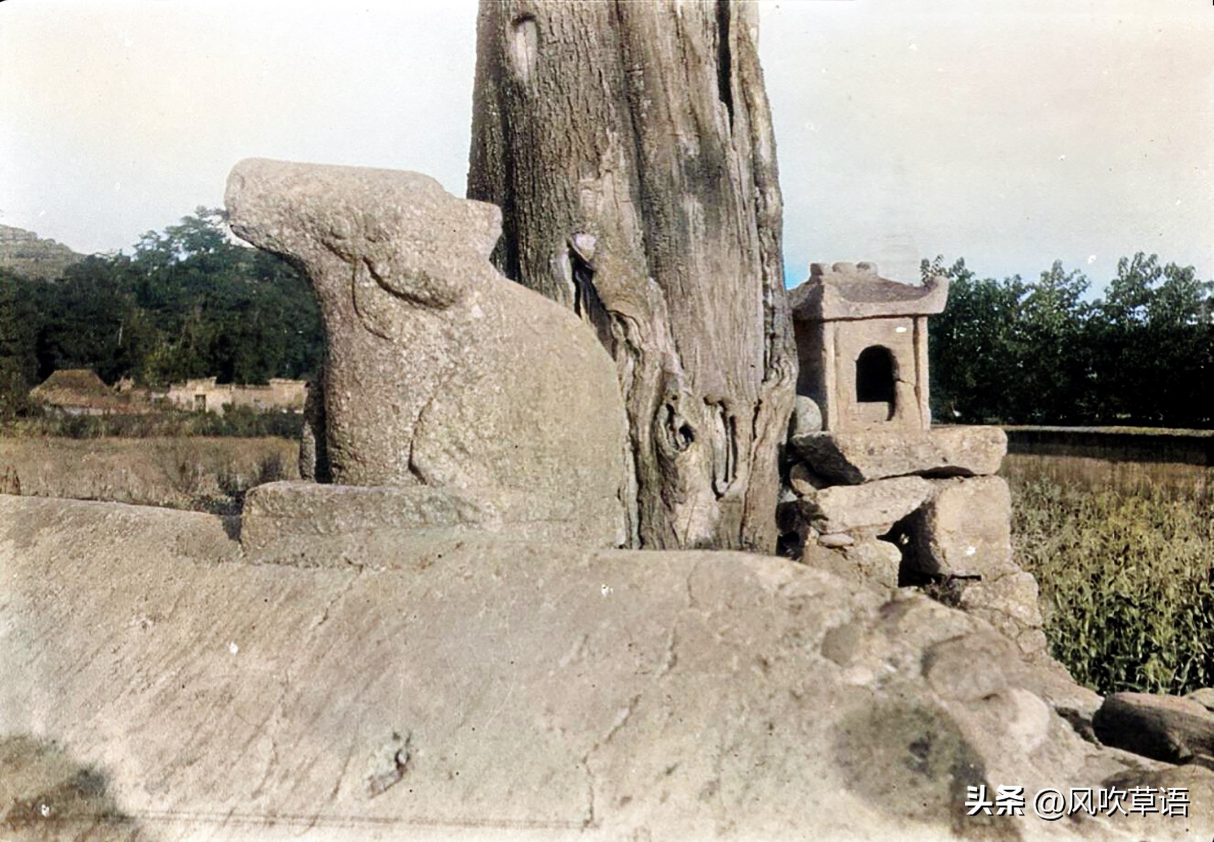 绵阳安县老照片,四十年前四川绵阳