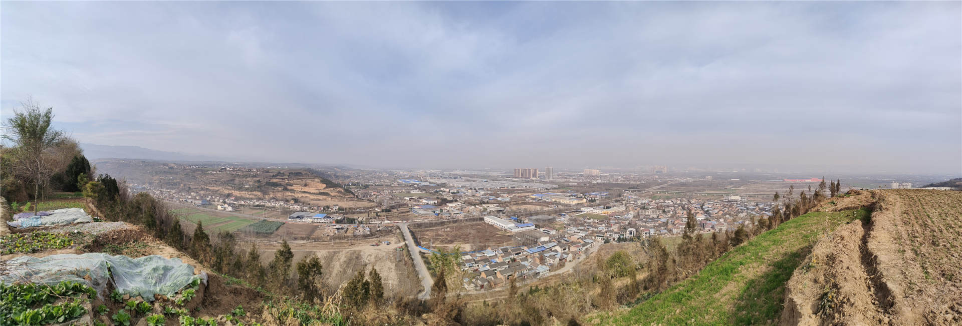 莫里尼x-cape650价格,莫里尼x-cape650座高