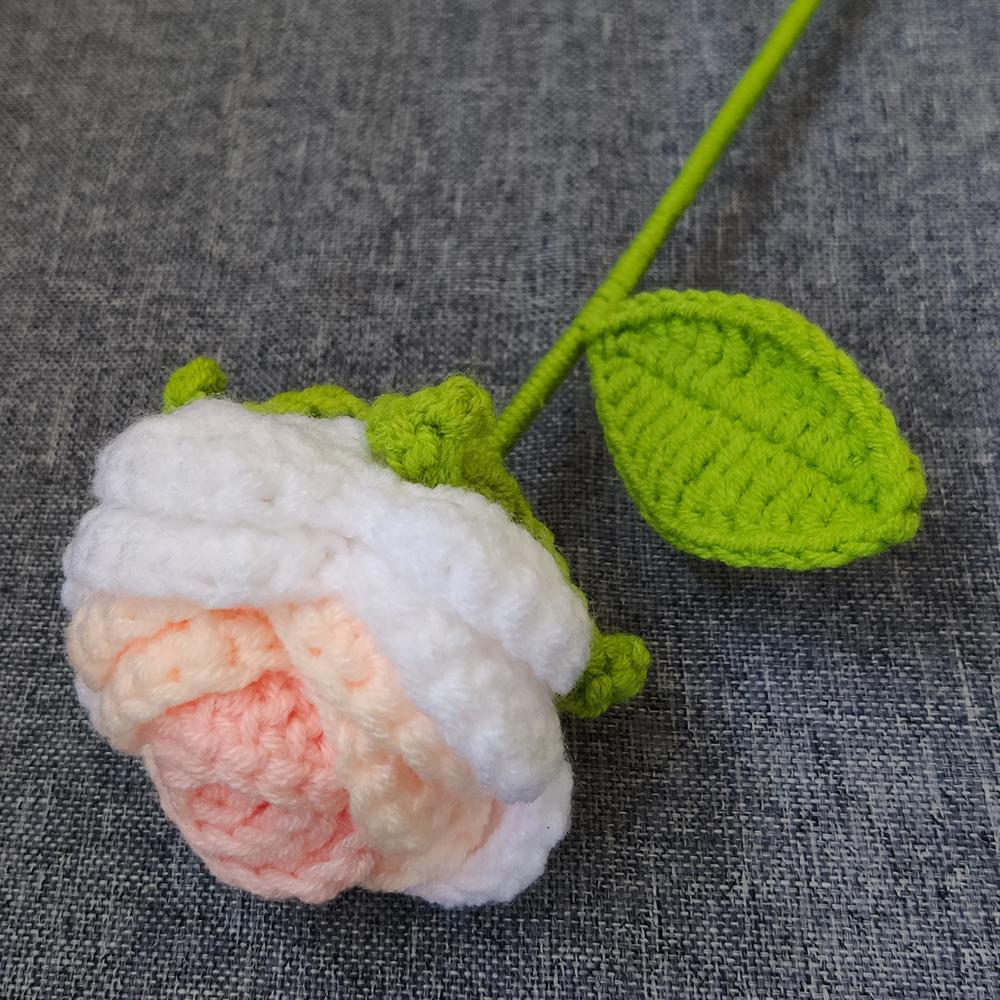 玫瑰花的花语和寓意,玫瑰花的由来