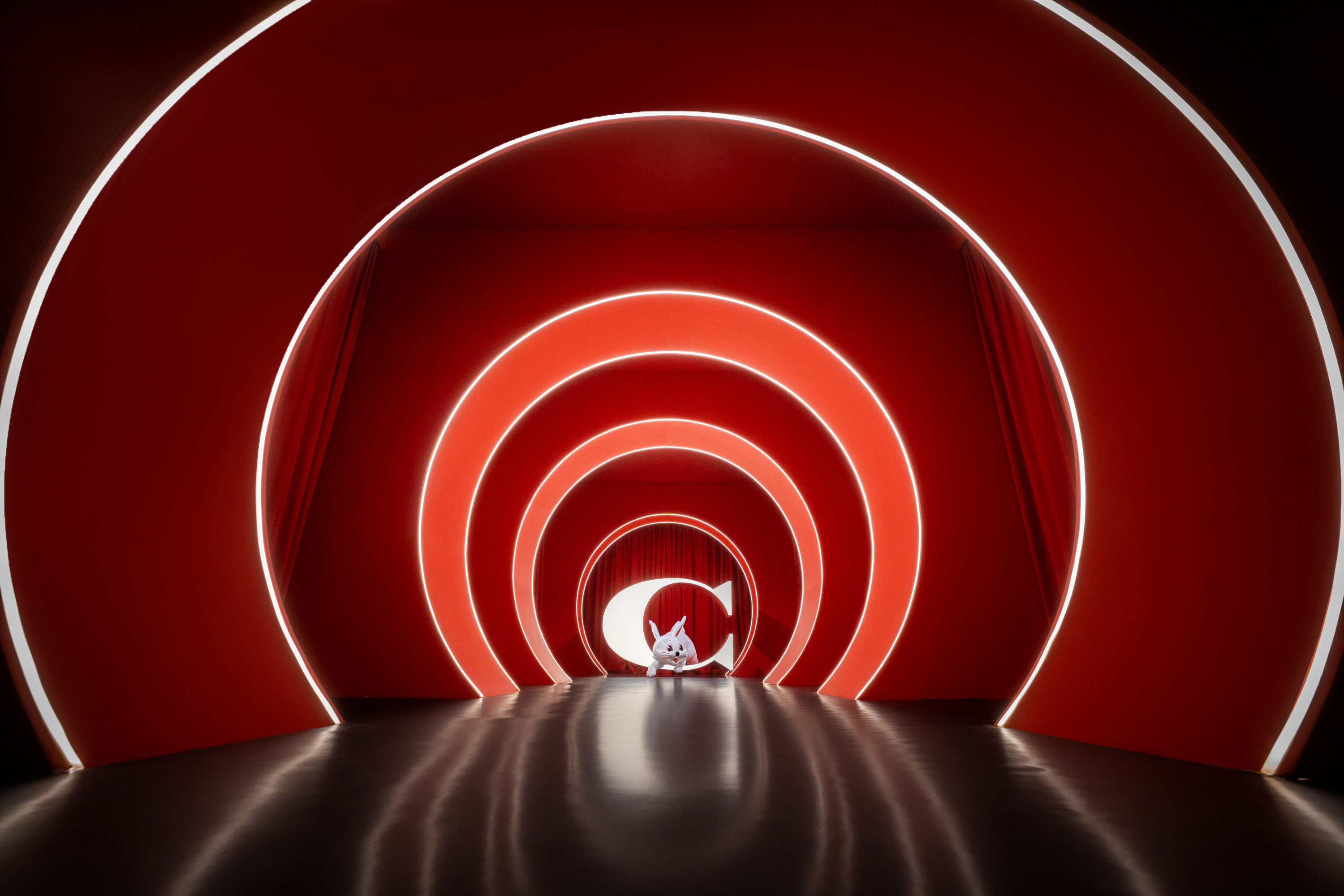 群星助阵,各大明星助阵开幕式