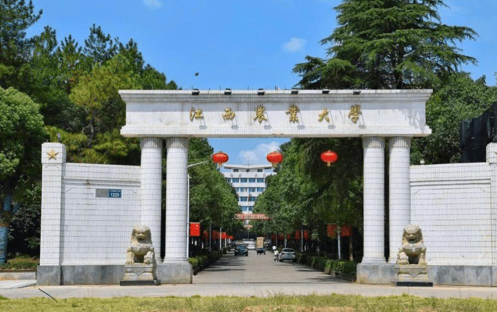 江西农业大学以前很牛,江西农业大学有哪些成就