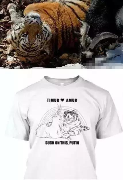 虎羊恋最后的结局,虎羊恋结局