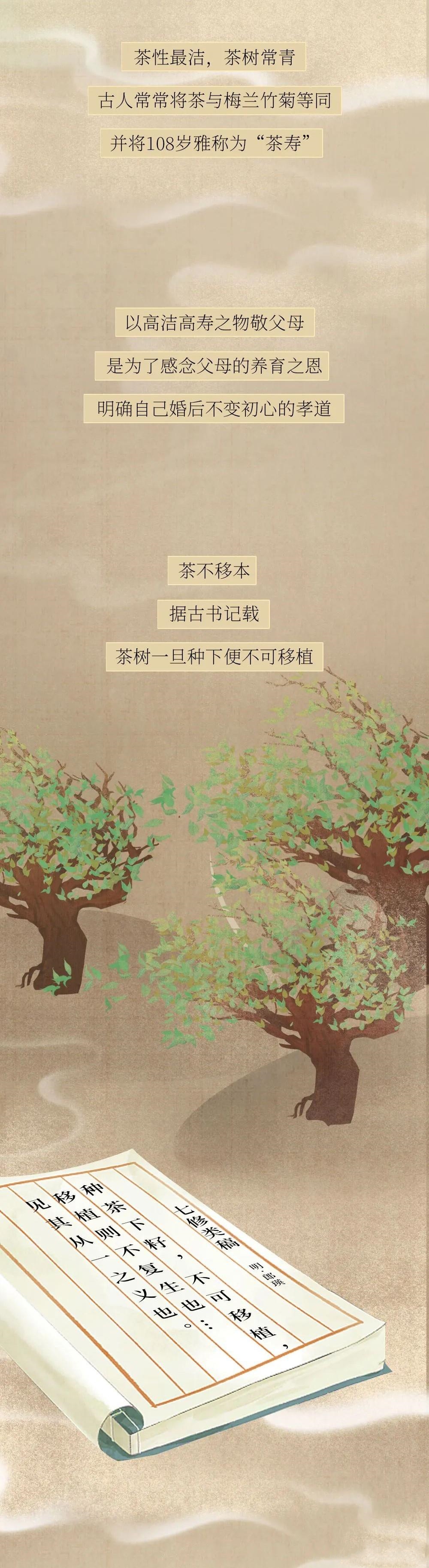 结婚敬茶的礼仪需要跪下吗,结婚敬茶仪式有什么讲究