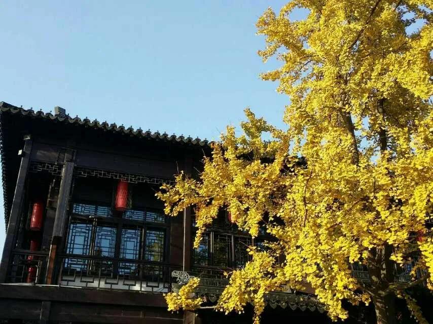 游黄山的经历,第一次旅行黄山