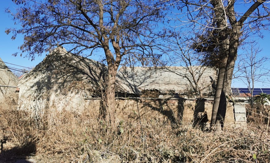 胶东海草房简介,胶东原始的海草房