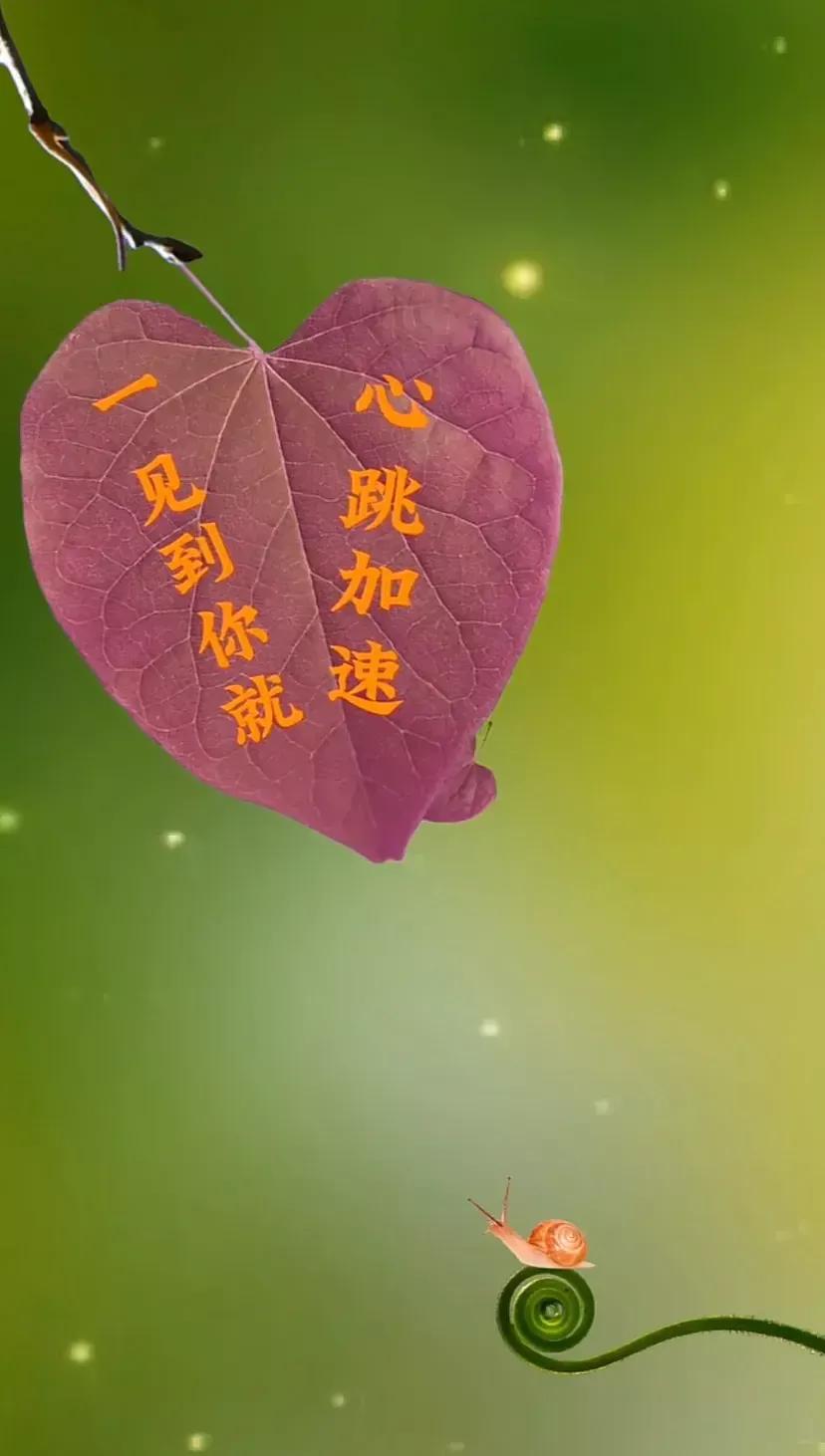 表白文案高级有深度20个字,表白的高级文案英文