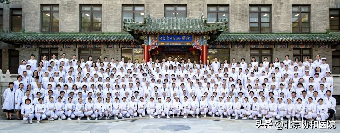 妇科肿瘤中心高质量发展巡礼|当攻坚克难成为一种习惯