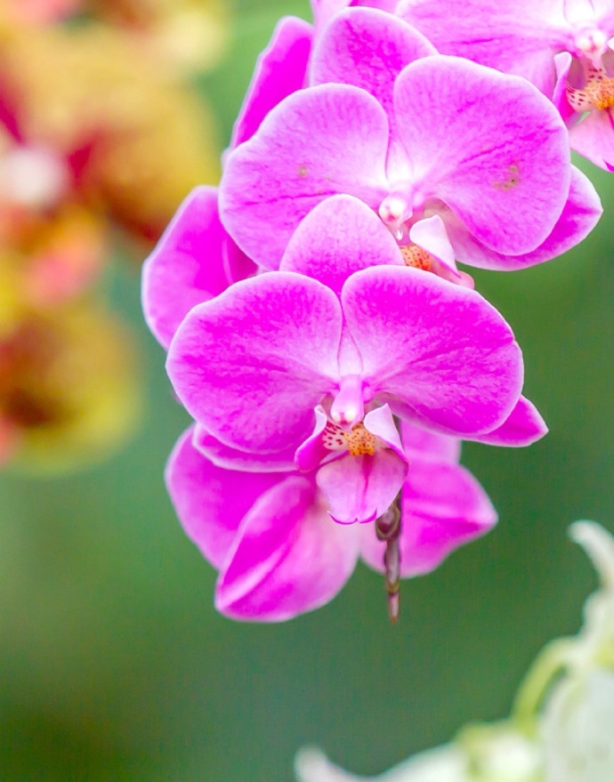 不管夫妻还是情人，若对方不联系你了，这么处理才最聪明