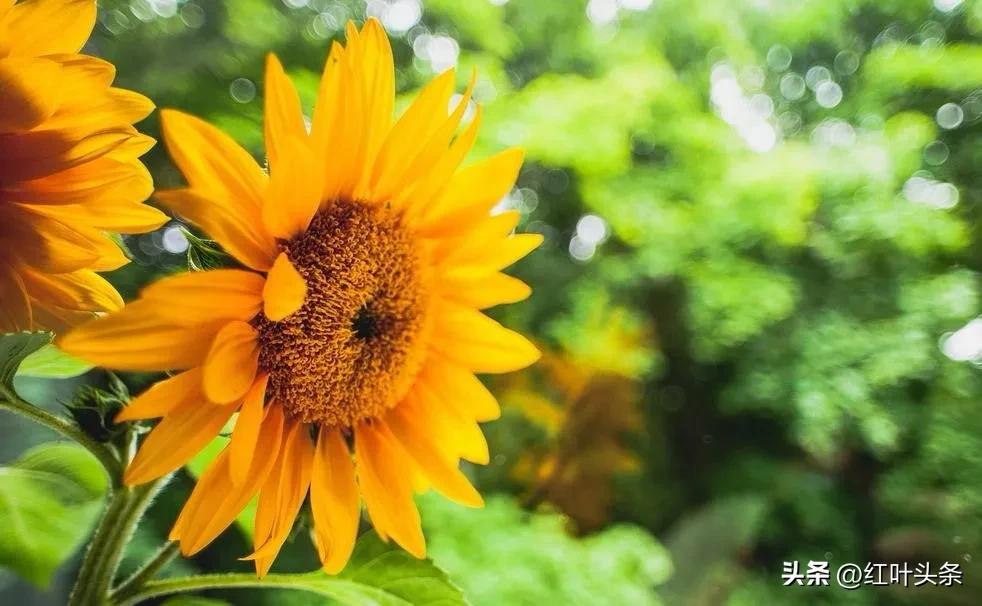 《卦里藏诗》之三.姜保坤