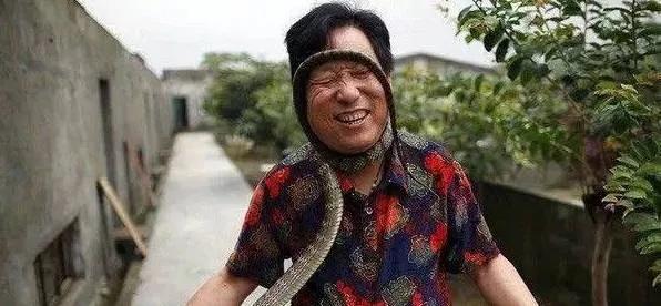 每晚枕着上万条蛇入眠,这里的村民为了脱贫能有多拼?