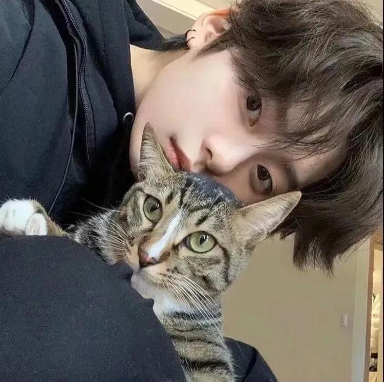 男生头像阳光简单干净,男生头像动漫可爱呆萌