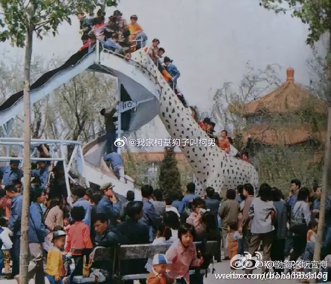 1939年天津水灾老照片大全,天津郭庄子新官汛小学老照片