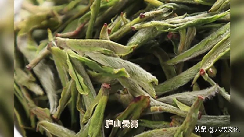中国绿茶哪个好喝,各地好喝的绿茶排名