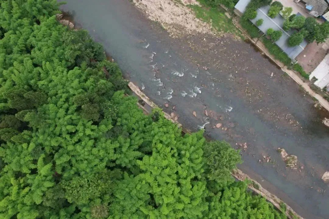 邛崃川西竹海攻略,邛崃竹海徒步攻略