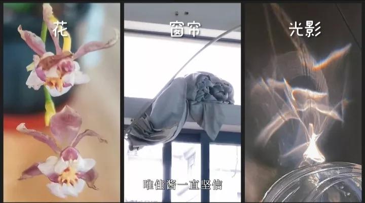 云表情慢慢变粉的表情,云表情包动图