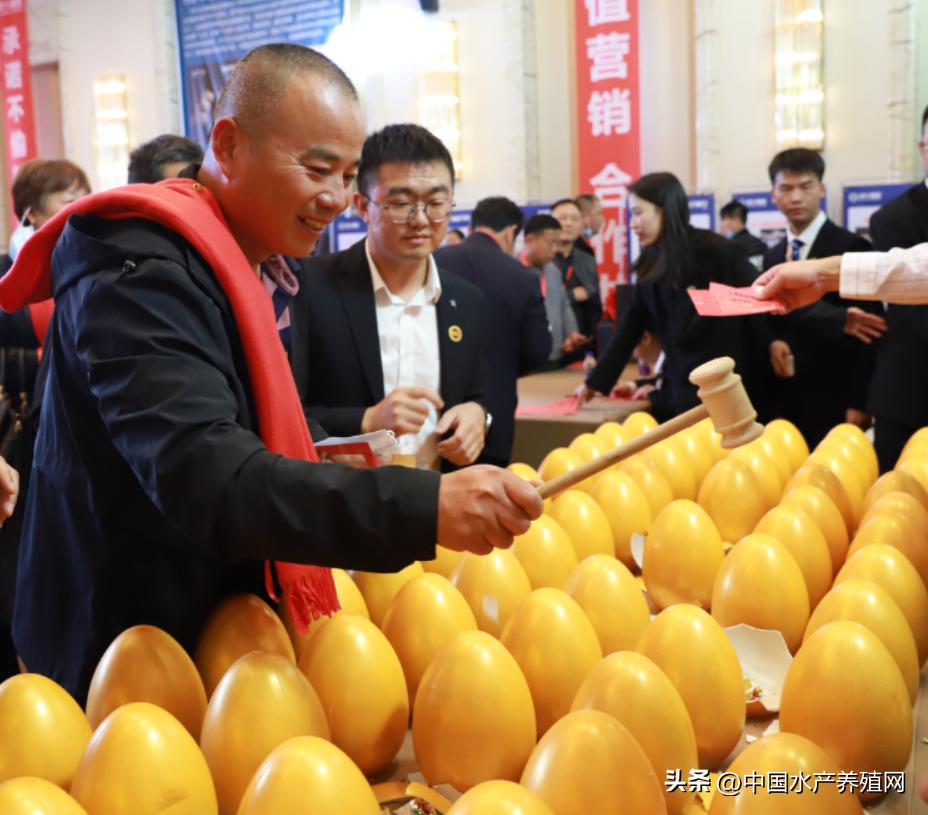 通威10000亿订单,通威股份获千亿订单