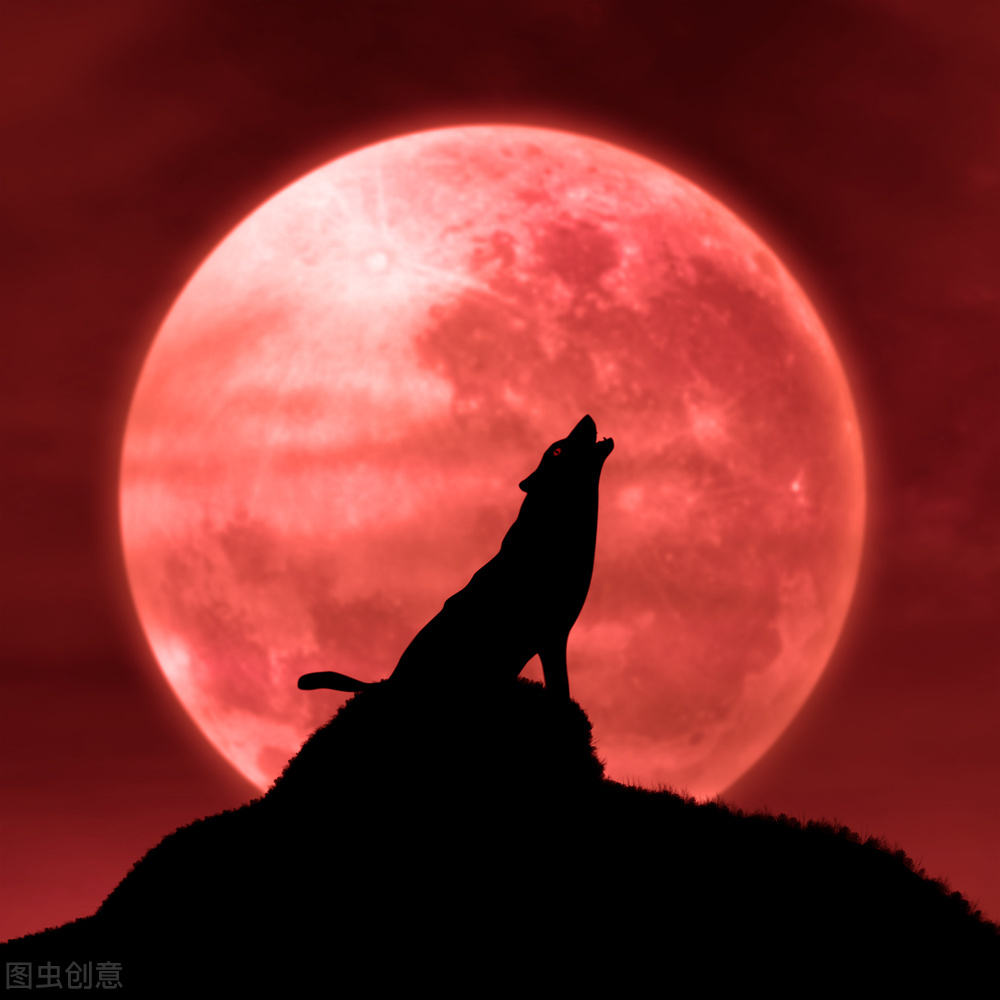 教师网络爆破,教师上网课的得与失反思