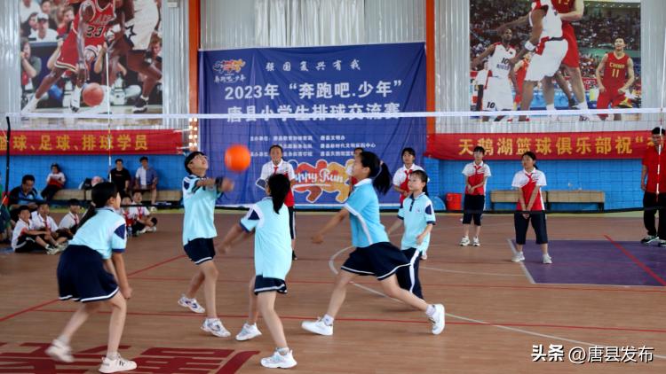 唐县运动会,唐县体育馆乒乓球比赛