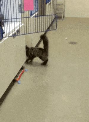 妹子，你的背的包很别致啊，旁边兄弟盯得眼都直了，哈哈哈哈哈哈