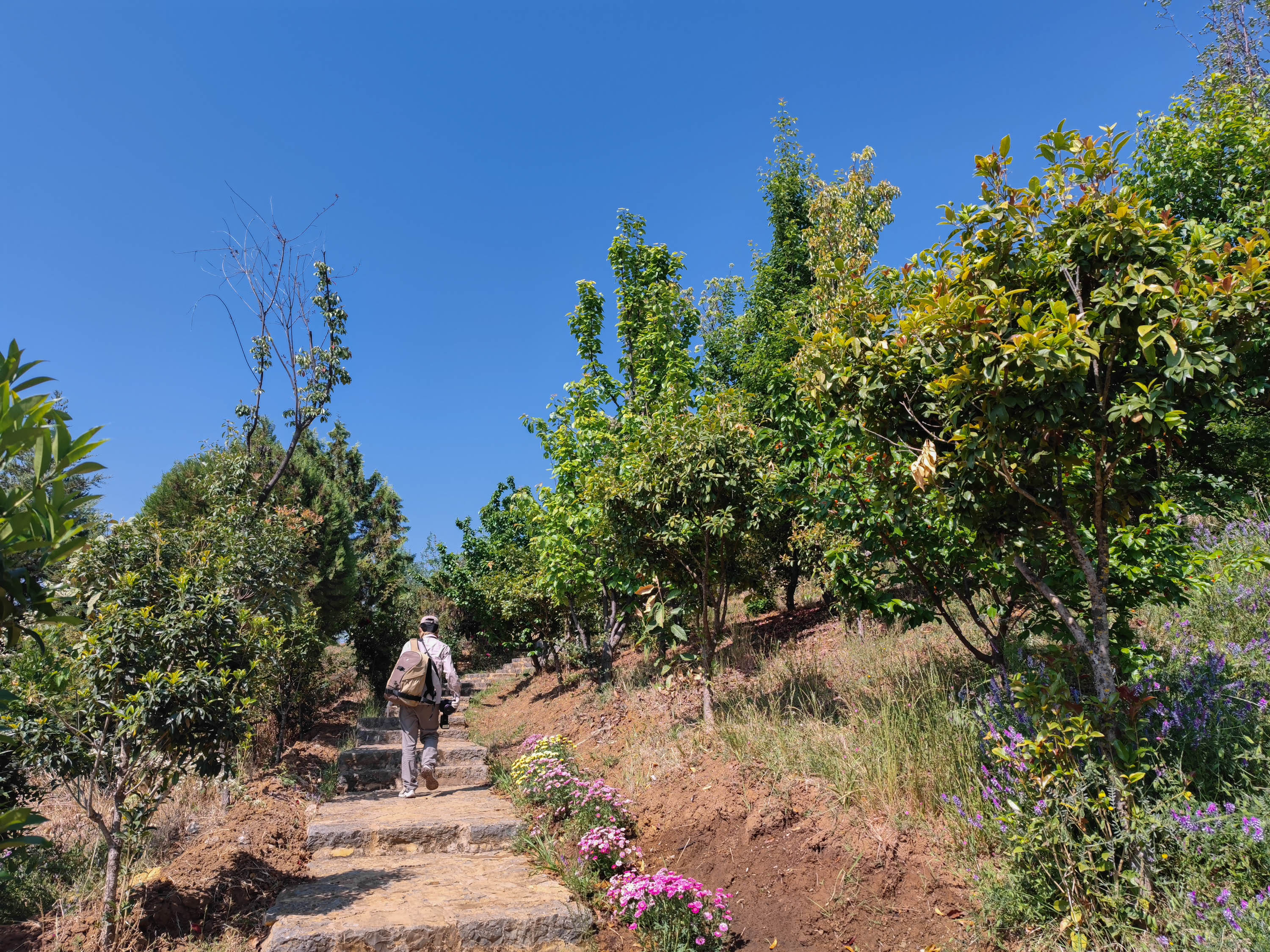 去云南跟团一日游攻略图片大全集,云南六日游跟团路线攻略大全