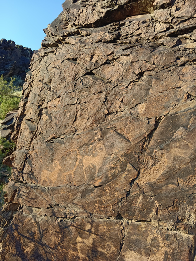 *疆新**兵团四师七十三团布库尔萨依岩画竟如此惟妙惟肖