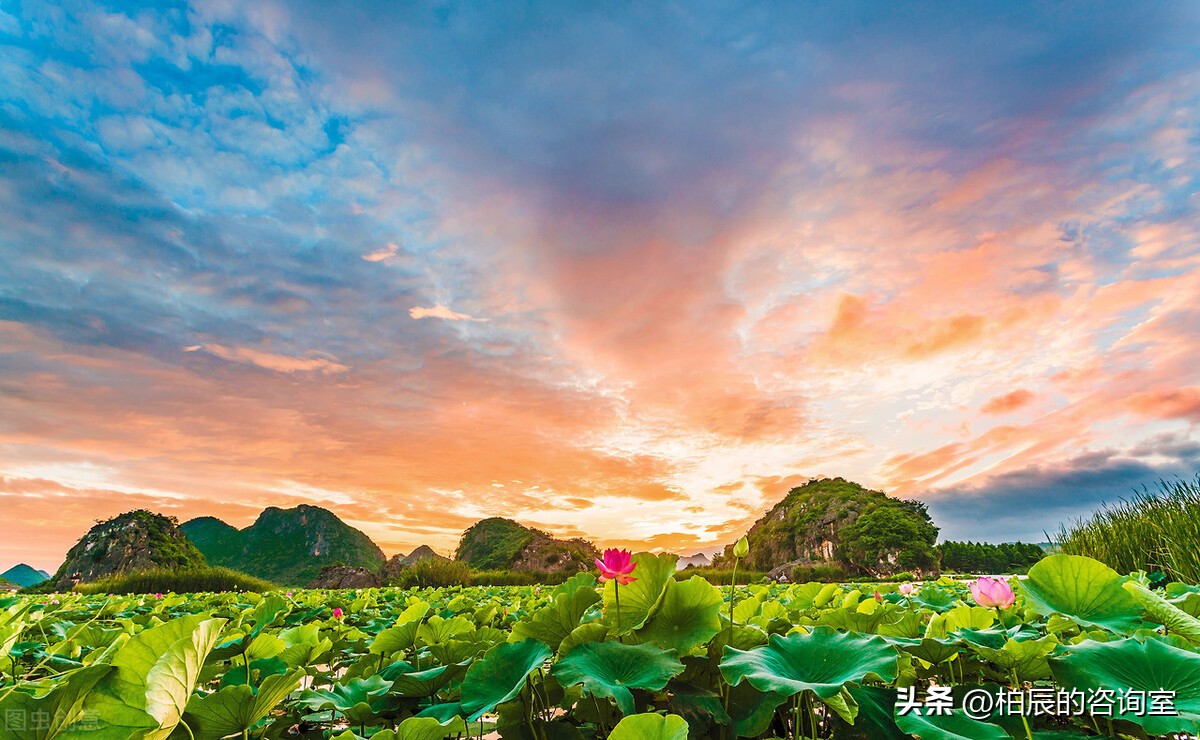 原配最狠的报复，不是杀敌一千，自损一千八