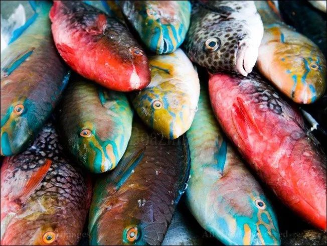 100幅经典摄影作品欣赏,100幅精品摄影图