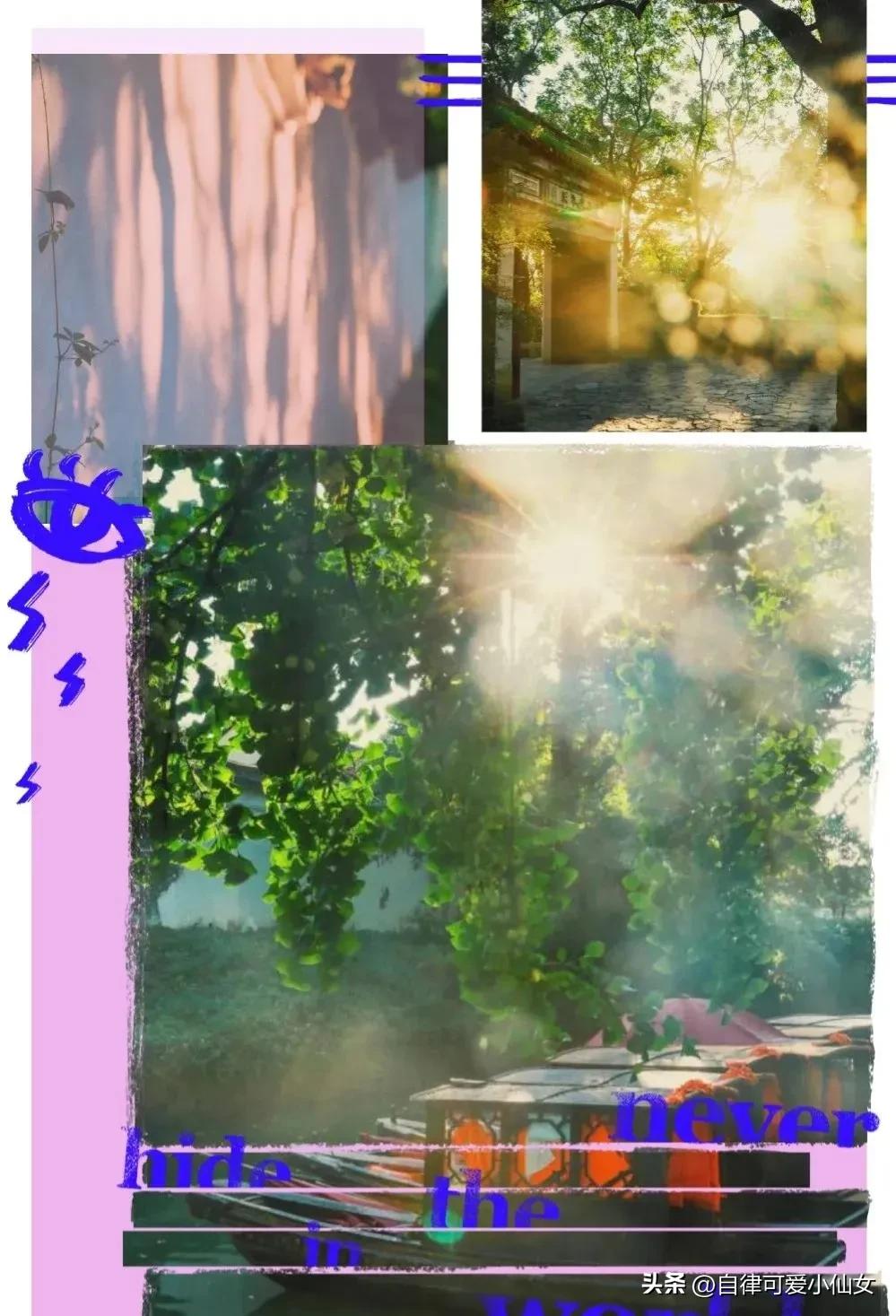 中国园林看江南江南园林看苏州,苏州园林江南园林甲天下